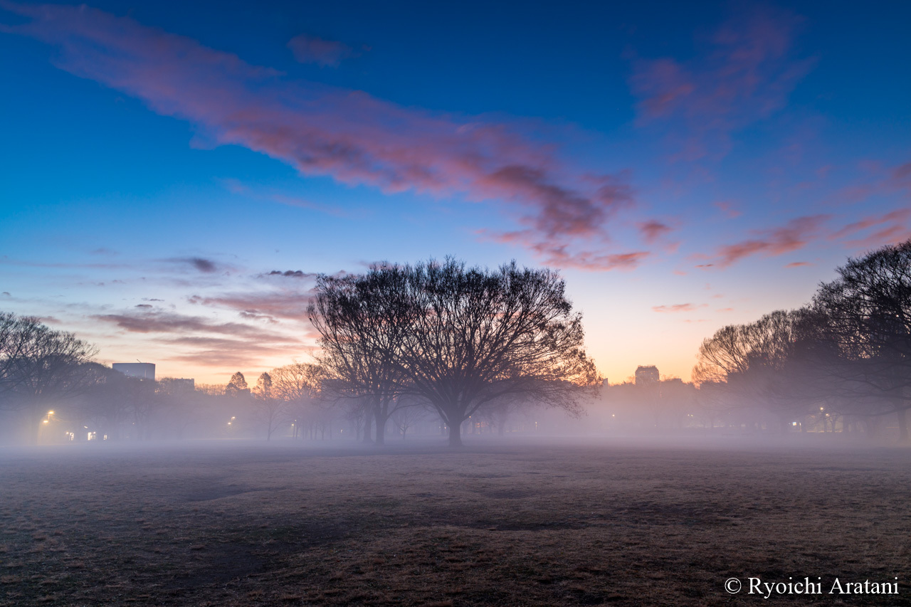 夜明け前霧に包まれる
